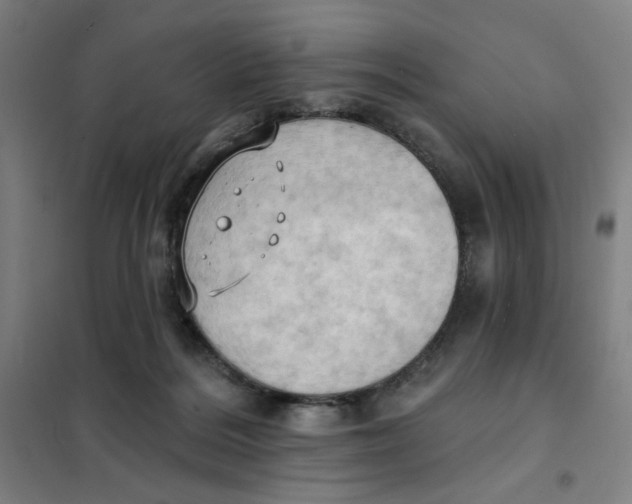 X0000101210220200807251056