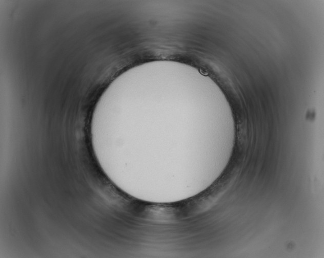 X0000101210221200807251056