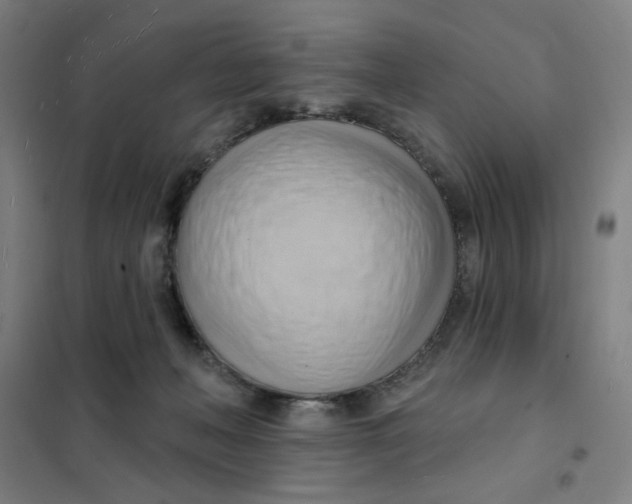 X0000101210222200807251056