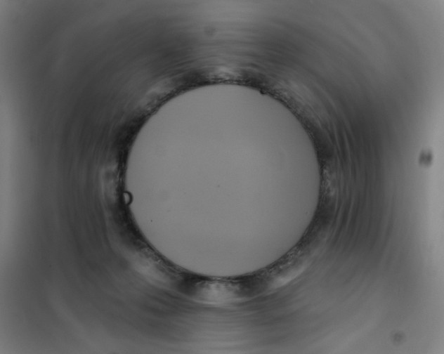 X0000101210223200807251056