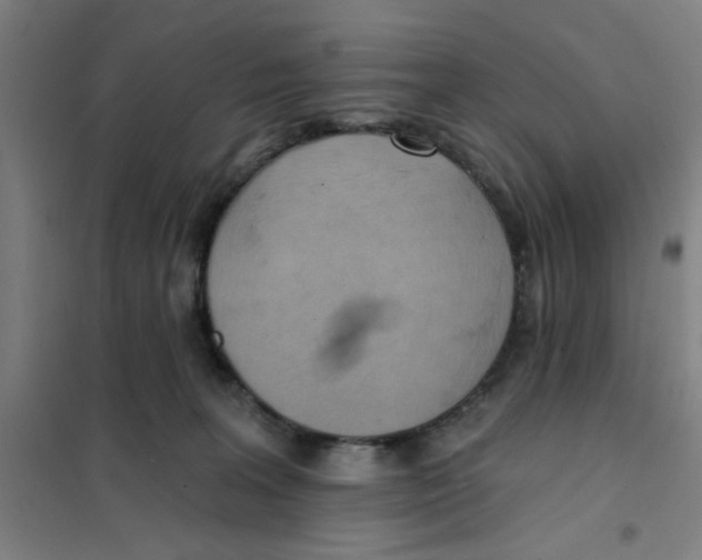 X0000101210227200807251056