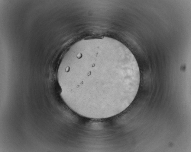 X0000101210228200807251056