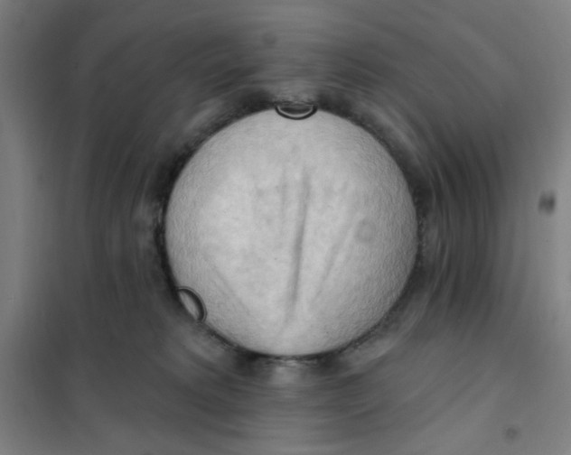 X0000101210229200807251056