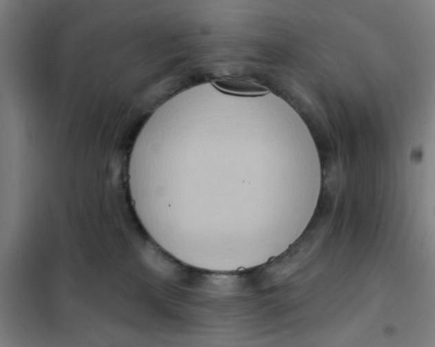 X0000101210233200807251056