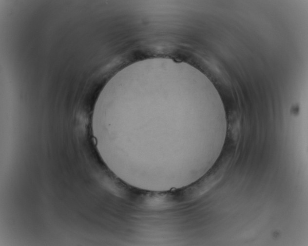 X0000101210235200807251056