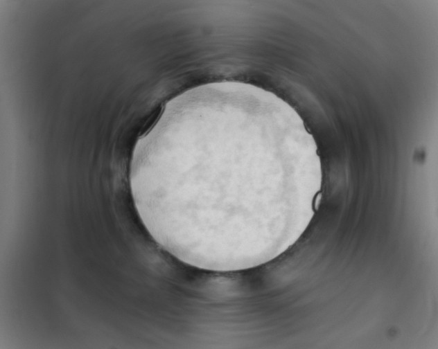 X0000101210236200807251056