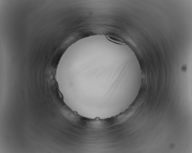 X0000101210237200807251056