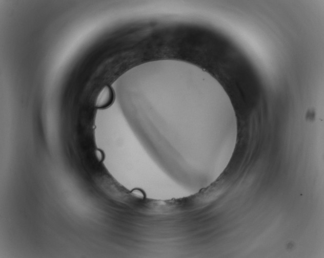 X0000101210239200807251056