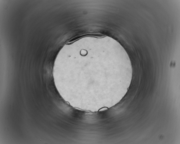 X0000101210240200807251056