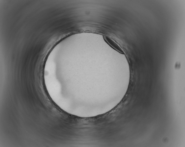 X0000101210241200807251055