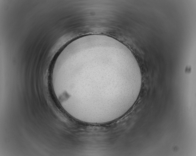 X0000101210242200807251055