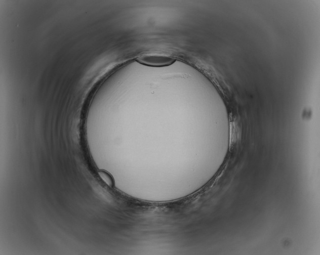 X0000101210243200807251055