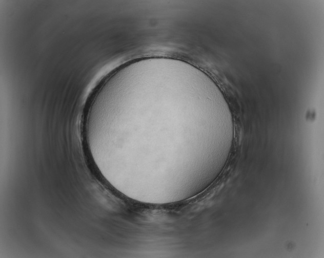 X0000101210244200807251055