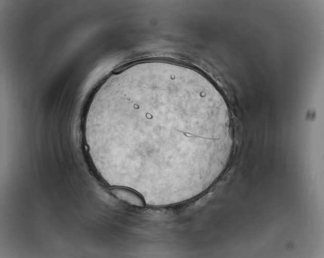 X0000101210245200807251055