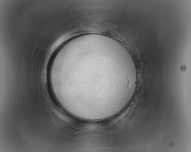 X0000101210246200807251055