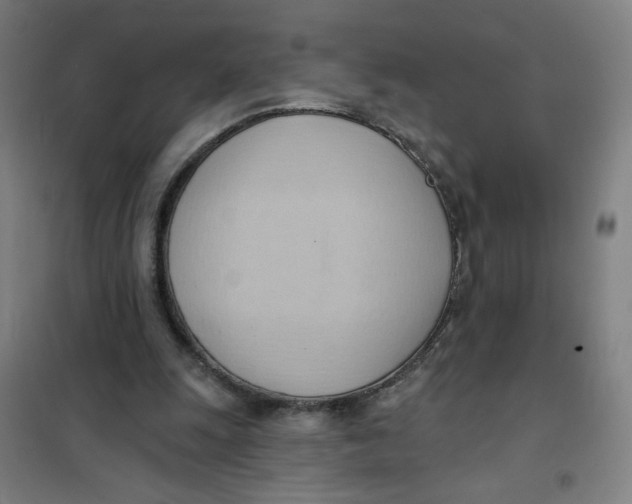 X0000101210247200807251055