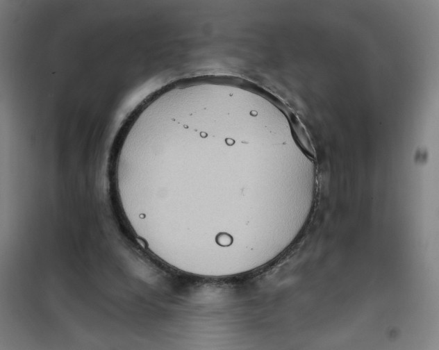 X0000101210248200807251055