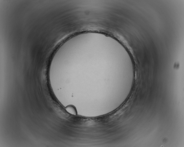 X0000101210249200807251055