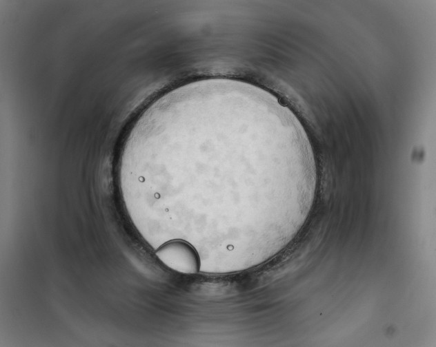 X0000101210251200807251055