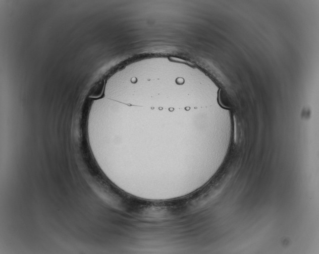 X0000101210252200807251055