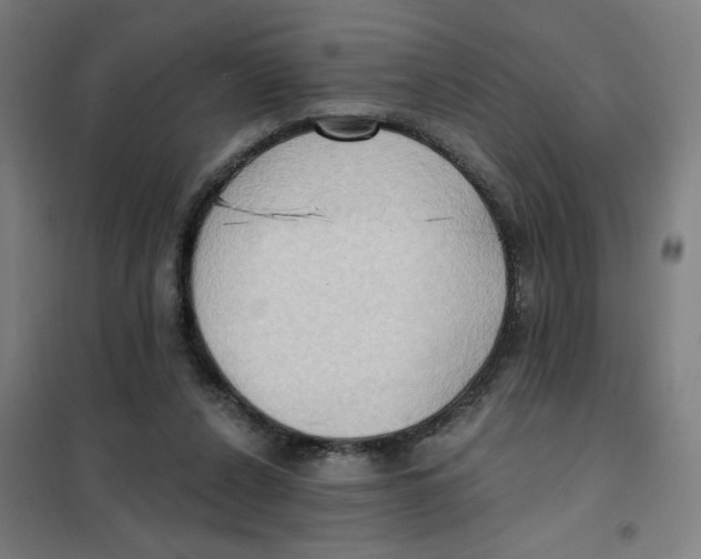 X0000101210256200807251055