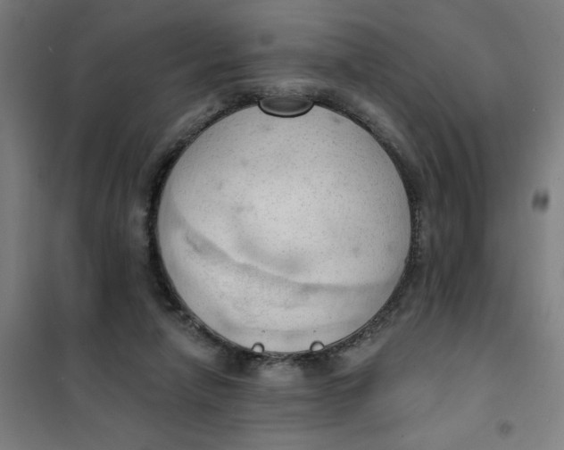 X0000101210258200807251055