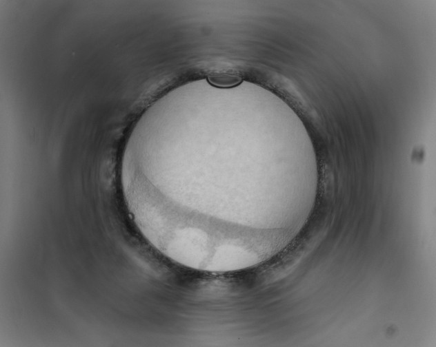 X0000101210259200807251055