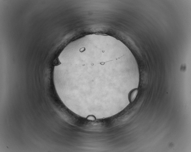 X0000101210260200807251055