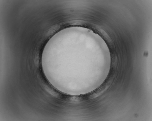 X0000101210261200807251055