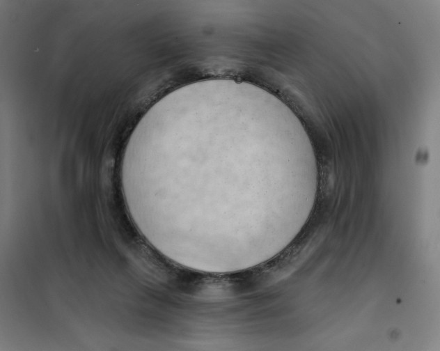 X0000101210263200807251055