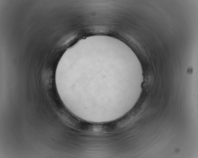 X0000101210264200807251055