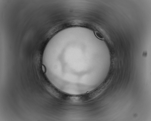 X0000101210265200807251055