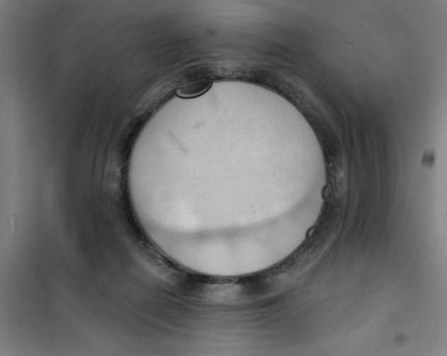 X0000101210266200807251055