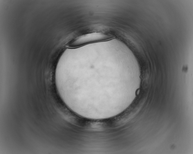 X0000101210268200807251055