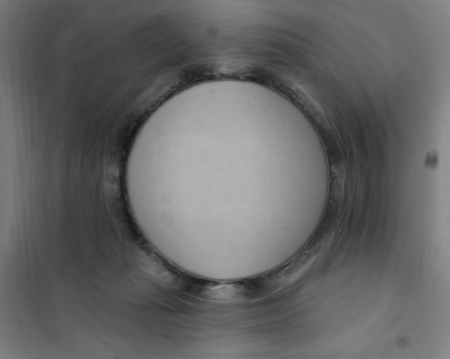 X0000101210269200807251055