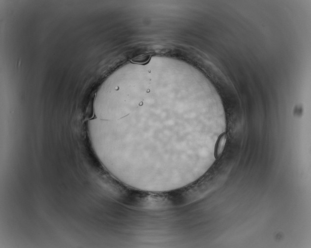 X0000101210270200807251055