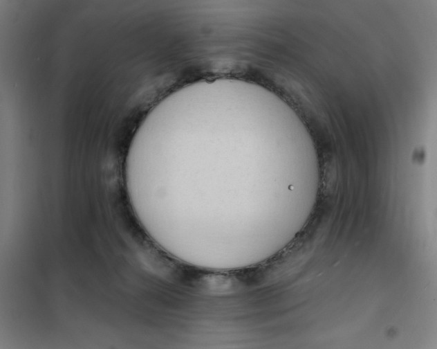 X0000101210272200807251055