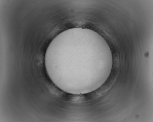 X0000101210274200807251055