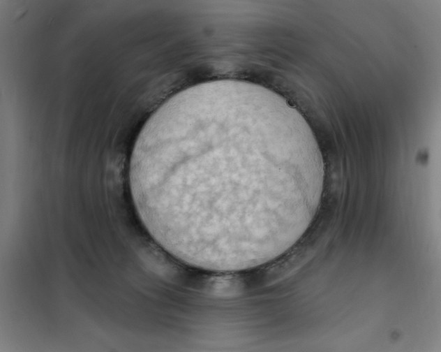 X0000101210275200807251055