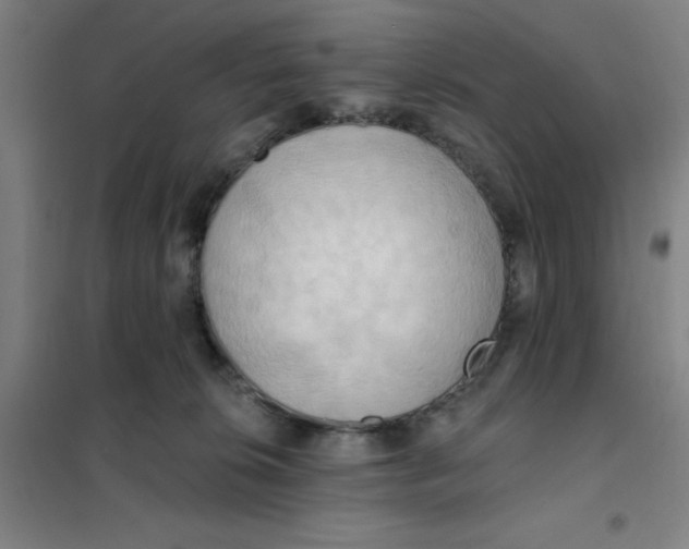 X0000101210276200807251056