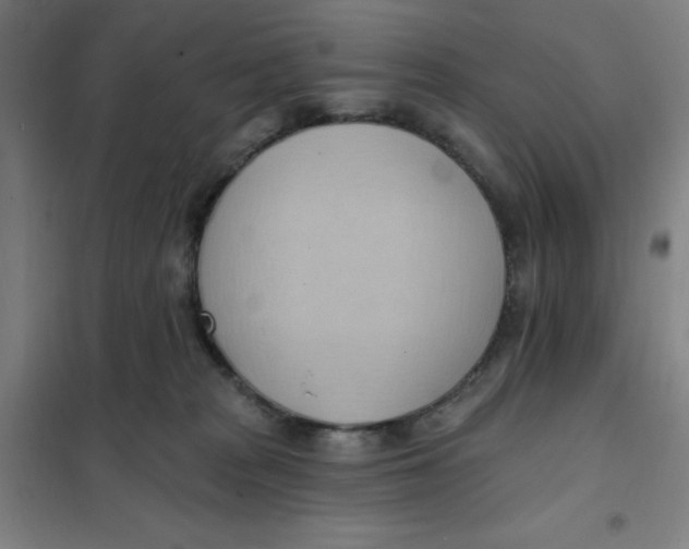 X0000101210277200807251056