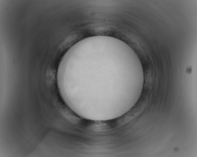 X0000101210278200807251056