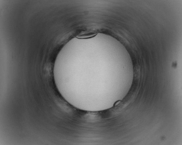 X0000101210280200807251056