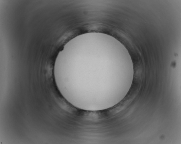 X0000101210282200807251056