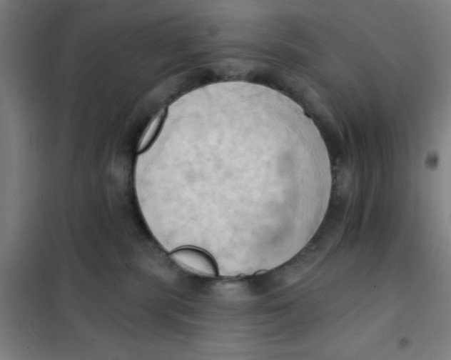 X0000101210283200807251056