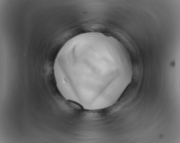 X0000101210284200807251056