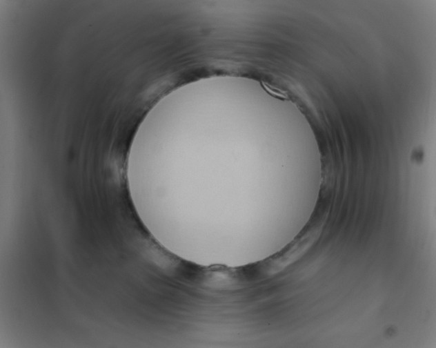 X0000101210285200807251056