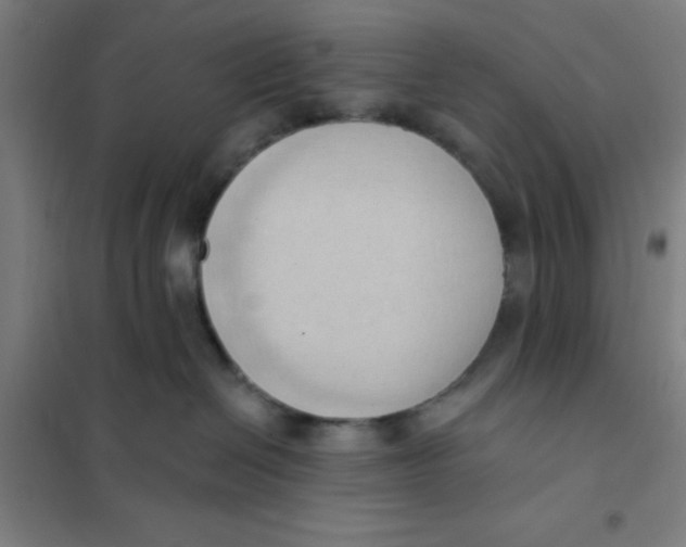 X0000101210286200807251056