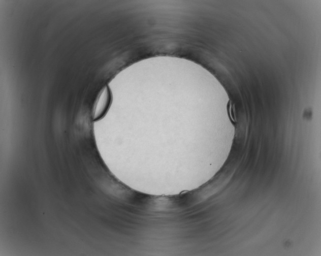 X0000101210287200807251056