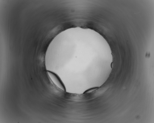 X0000101210288200807251056